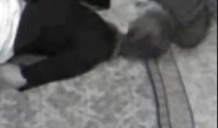 टैटू में एक सुंदर परिपक्व फूहड़ कुतिया, सभी सेक्सी मूवी फुल हड हिंदी मे दरारों में कठिन बकवास करती है